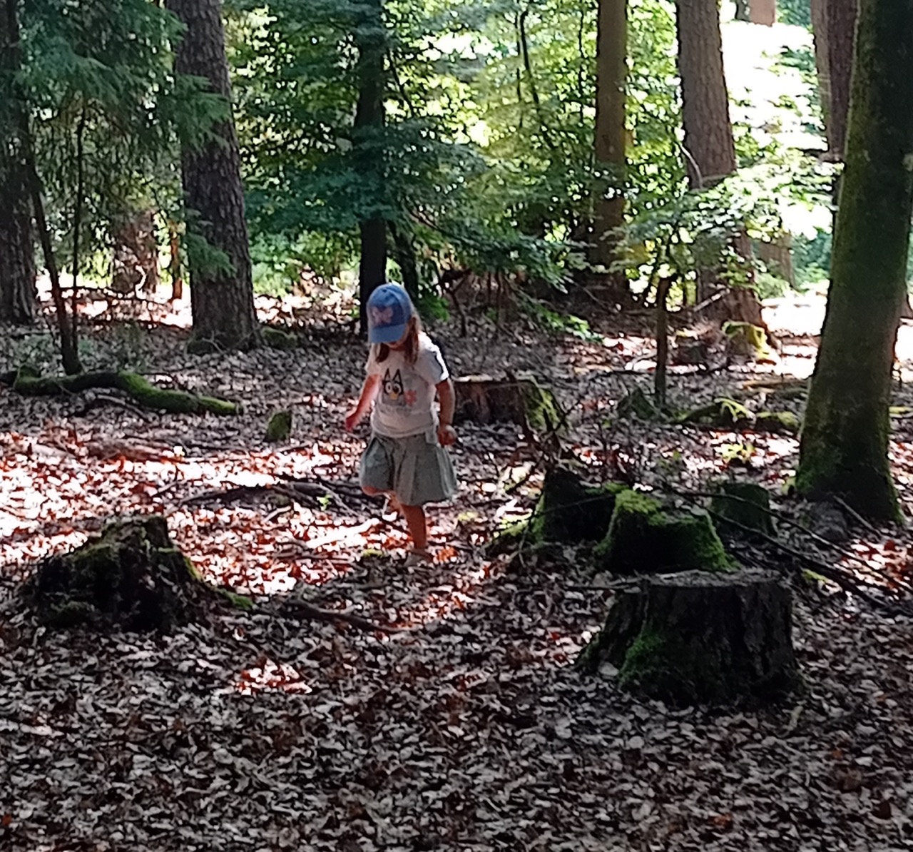 Die Kinder verbringe die warmen Tage in der Kita draussen im Wald